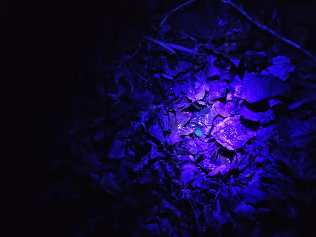 How UV Light Helps Track Blood | The Ultimate Science for Hunters UV Light Track Blood